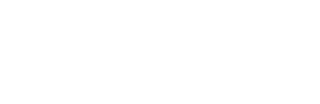 Logo_bn_3