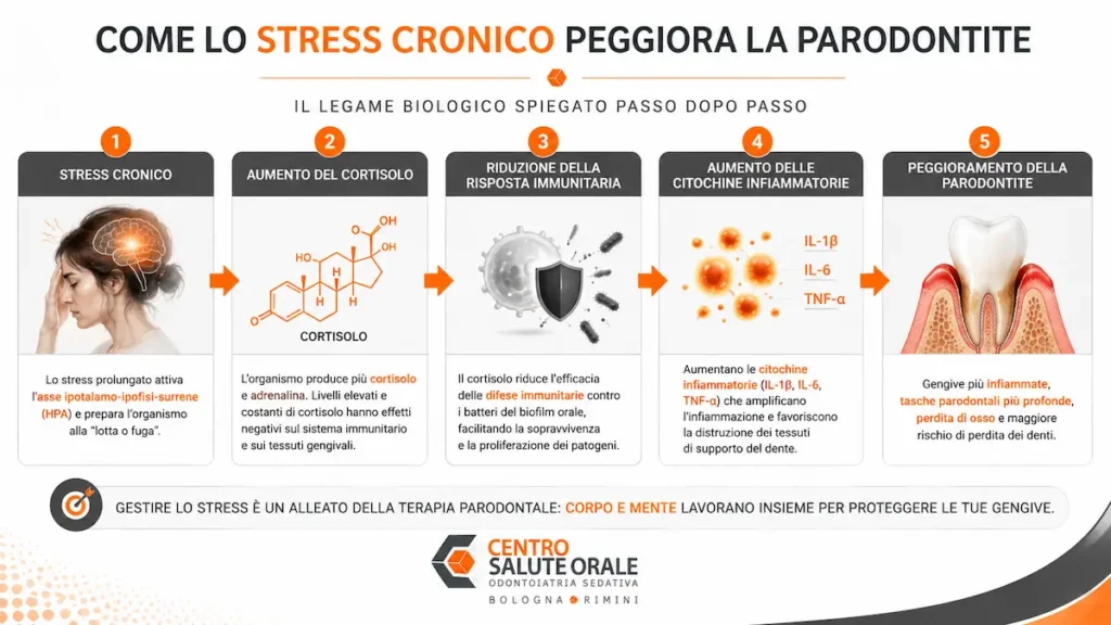 Infografica medica sul legame tra stress cronico e parodontite aumento del cortisolo, riduzione delle difese immunitarie, incremento delle citochine infiammatorie e peggioramento della salute delle gengive.